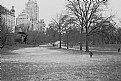 Picture Title - Morning in Central Park