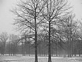 Picture Title - Lonley Winter