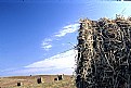 Picture Title - La val d'Orcia-Dakar