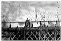 Picture Title - Two on a bridge