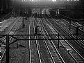 Picture Title - Tracks & Rails