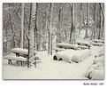 Picture Title - Snow - II