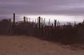Picture Title - Beach Fence