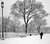 A white world