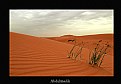 Picture Title -  .: Desert :. 