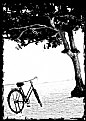 Picture Title - lonely bike