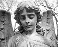 Picture Title - Angel 5
