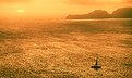Picture Title - Sailboat Sunset - San Francisco