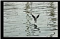 Picture Title - departure