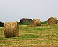 Picture Title - A Farm