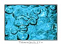 Picture Title - Tranquility