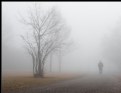 Picture Title - fog