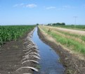 Picture Title - "old school" Irrigation