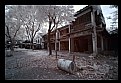 Picture Title - Abandoned