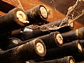 Picture Title - Enjingi archive wine - Croatia