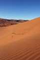 Picture Title - Sand Dunes of the Namib