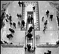 Picture Title - Shoppers