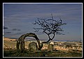 Picture Title - Northumbrian Moorland