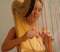 Picture Title - just harp and harpist
