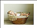 Picture Title - Jack In The Basket