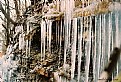 Picture Title - Icicles