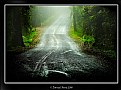 Picture Title - Foggy Road