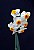 Narcissi, a bouquet on a stem