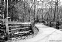 Picture Title - The Winding Pathway