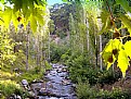 Picture Title - monastery river