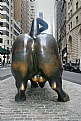 Picture Title - The Wall Street Bull