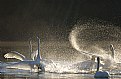 Picture Title - Spray of water