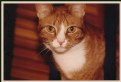 Picture Title - Mancha, my girl