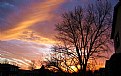 Picture Title - Sunset and trees