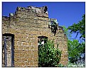 Picture Title - Cactus in a windoe