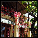 Picture Title - Tropical Balcony II