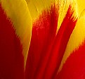 Picture Title - Red and Yellow
