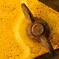 Picture Title - Rusty Wingnut.