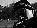 Picture Title - MI Street Subject 1