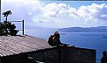 Picture Title - Macaques at Gibrlatar