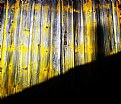 Picture Title - yellow & shadow