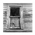 Picture Title - abandoned window