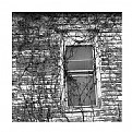 Picture Title - Another window