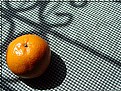 Picture Title - The lonely tangerine