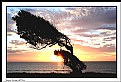 Picture Title - Raumati Sunset