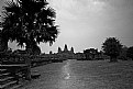 Picture Title - angkor wat