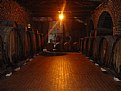 Picture Title - red wine cellar