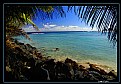 Picture Title - Palm Lagoon