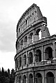 Picture Title - COLOSSEO 