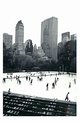 Picture Title - Skating in Central Park