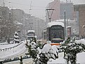 Picture Title - winter